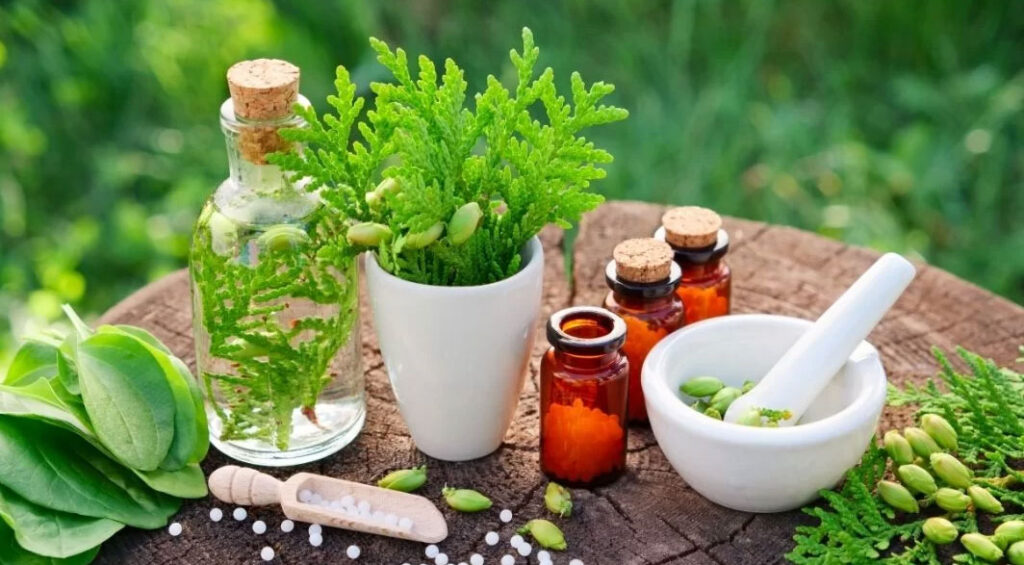 Bitkisel Tedaviler: Sağlık İçin Doğal Yöntemler